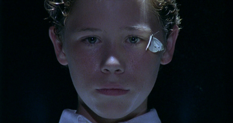 334da6b6-f7a5-4e8c-87a7-d1a3ae306173home