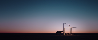 Camerimage 2020 : Öndög, l’appel de l’horizon (fr/eng) - Union des Chefs Opérateurs