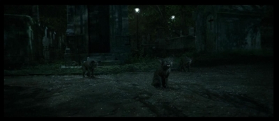 Camerimage 2021 : La « nuit » au cinéma – l’obscurité, entre naturalisme et fantasmes (fr/eng) - Union des Chefs Opérateurs