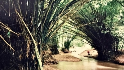 Camerimage 2021 : Ma présentation du court-métrage « Ativio » au Talent Demo Program (fr/eng) - Union des Chefs Opérateurs