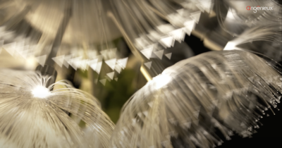 Camerimage 2022: Angénieux présente deux nouveaux zooms compacts et son système de personnalisation d’optique - Union des Chefs Opérateurs