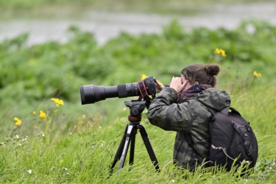 De l’affût à l’écran : portraits de chef.fes op animaliers - Union des Chefs Opérateurs